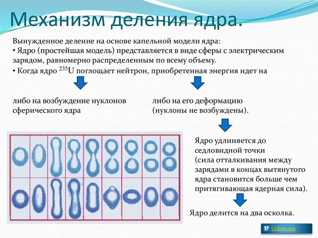 Каков механизм деления ядра. Механизм деления ядра урана. Капельная модель деления ядра урана. Деление ядер урана механизм деления. Лабораторная работа изучение деление ядра