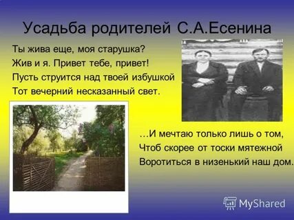 Есенин ты жива еще текст