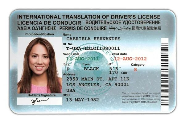 1. Driver score mercedes что это. License перевод на русский. Help перевод. International driver license.