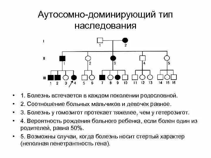 Наследование по отцу семья. Наследование в родословных Тип наследования. Аутосомно-доминантном типе наследования в родословной. Родословная генетика аутосомно доминантный. Аутосомный доминантный Тип наследования в родословной.