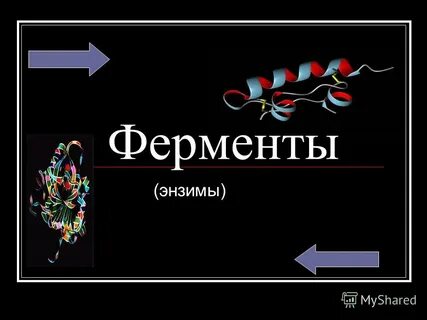 Ферменты презентация биология
