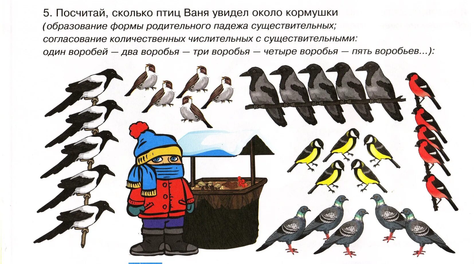 Задачи для дошкольников про зимующих птиц. Птицы задания для детей. Зимующие птицы задания для дошкольников. Задания на тему зимующие птицы для дошкольников.