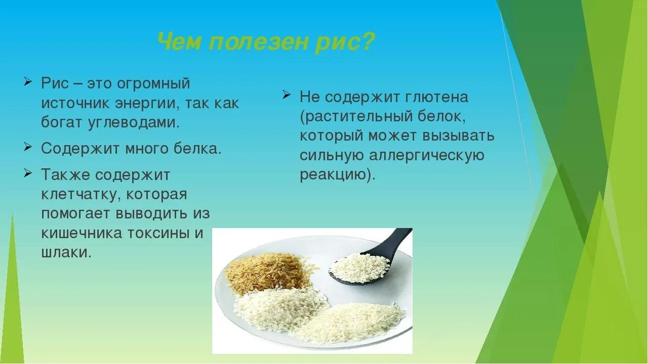 Чем полезен рис. Рис полезные свойства. Рисовой крупы. Польза риса.