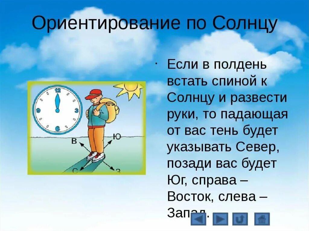 На какой стороне горизонта встает. Ориентирование на местности 5 класс по солнцу. Ориентирование на местности по солнцу 6 класс. Сообщение ориентирование по солнцу. Ориентация на местности по солнцу.