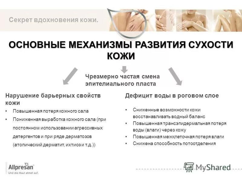развитие на суше кожа сухая. строение кожи гидролипидная мантия. приспособление рептилий к суше. серозные колодцы экзема. приспособления рептилий.