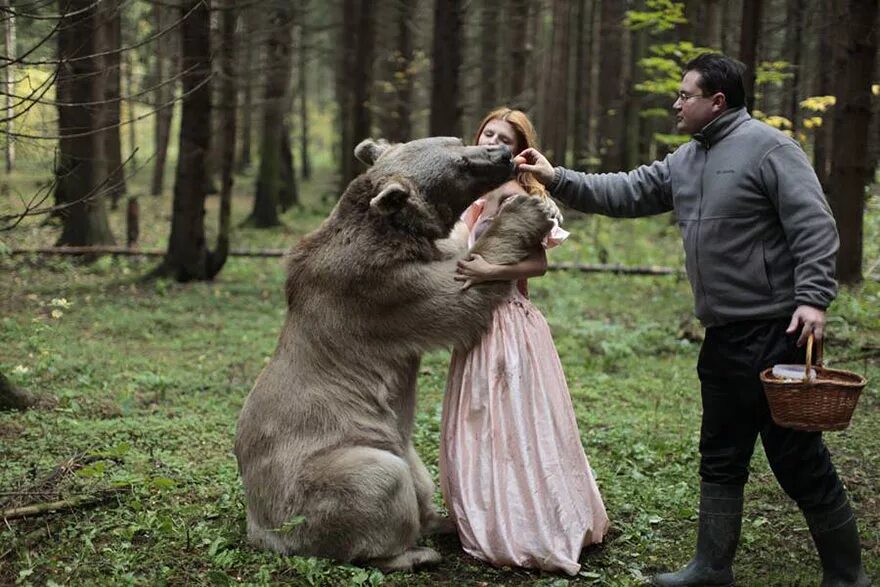 Катерина Плотникова фотограф. Фотограф: Katerina Plotnikova. Катерина Плотникова медведь. Фотосессия с дикими животными. Встреча с диким зверем