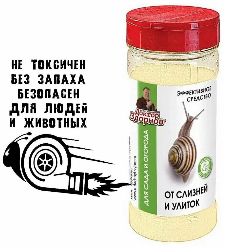 Доктор улитка содержание