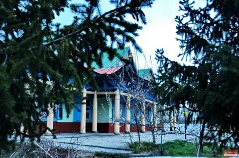 Г каракол
