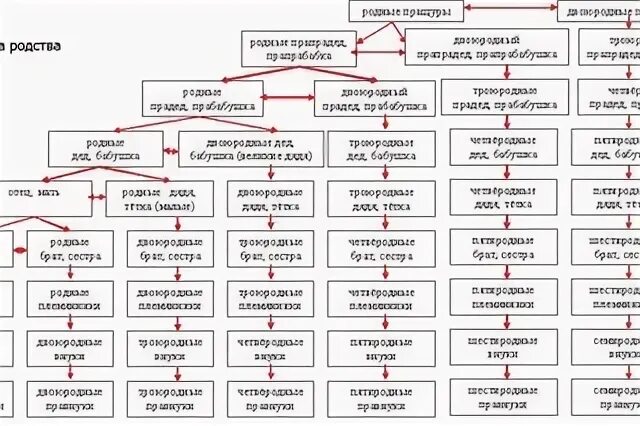 Троюродная племянница