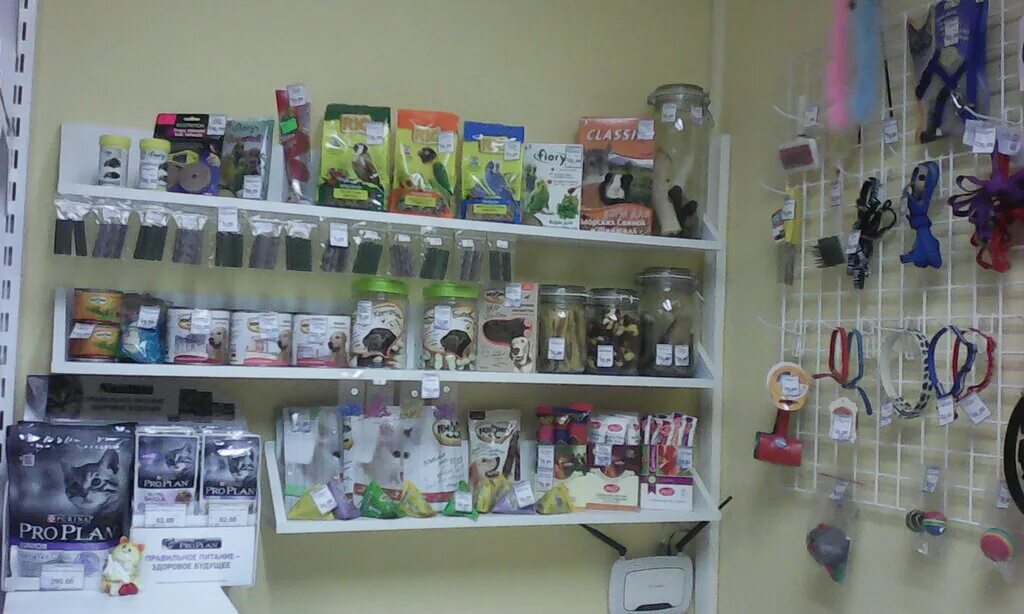 ветеринарная клиника в первоуральске на береговой. ветеринарная здоровый здоровый питомец. эмблема здоровой собаки. магазин часы первоуральск часы работы. здоровый питомец первоуральск.