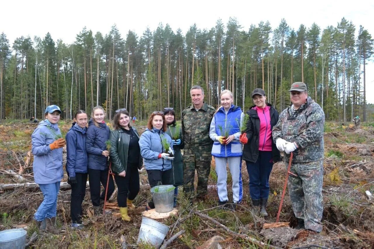 Департамент природных костромской. Посадка леса. День леса. Минприроды РМЭ. ФГБОУ во учебно-опытный лесхоз БГИТУ.