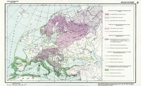 Физико географические страны