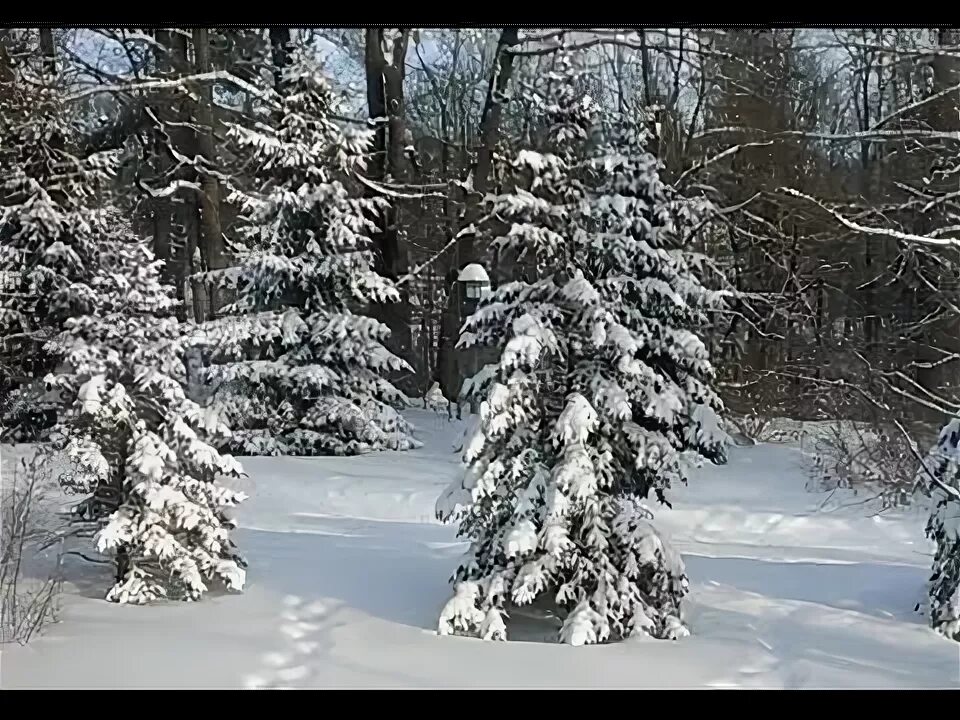 Самоцветы зима. Снег кружится, летает, летает и позёмкою клубя. Заметает зима, текст.