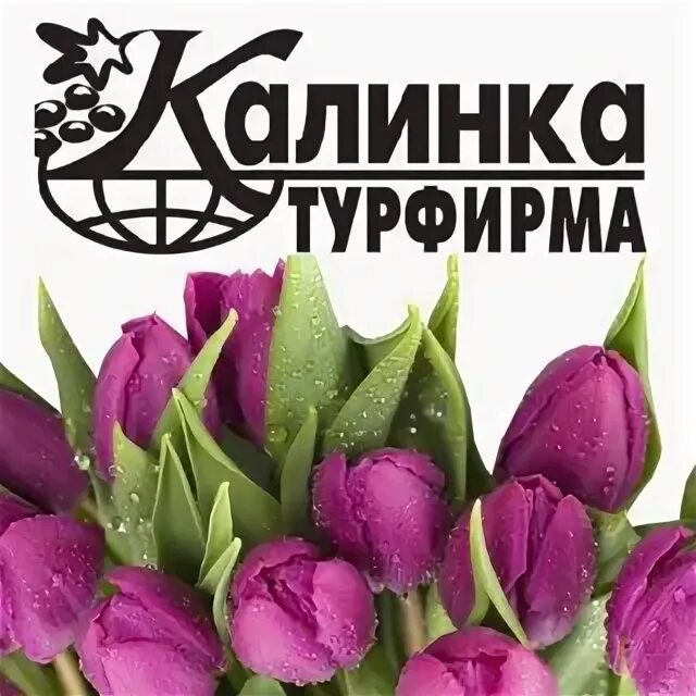 Турфирма калинка. Турфирма калинка. Калинка тур кострома автобусом к морю. Турфирма калинка. Кострома турагентство.