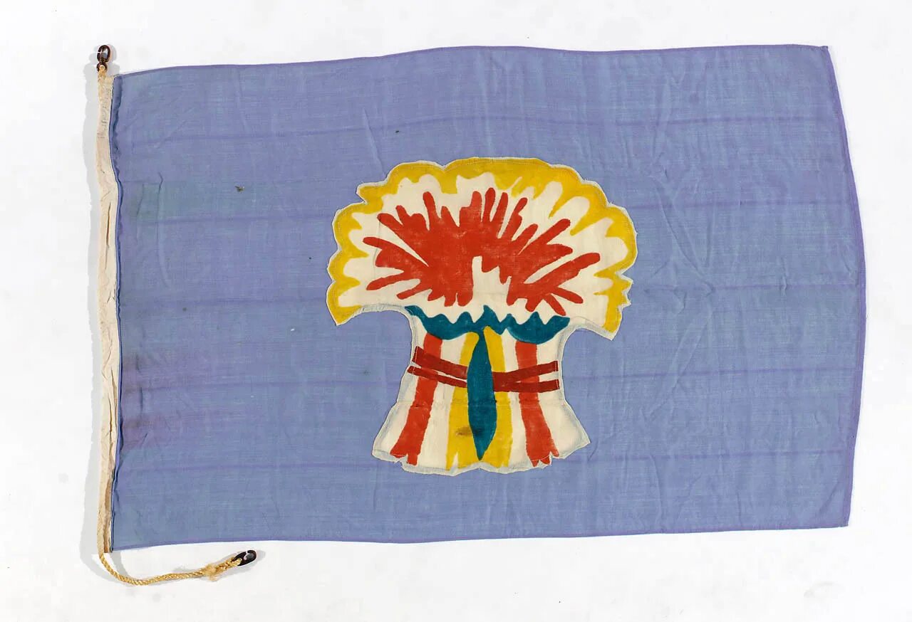 Flag hide