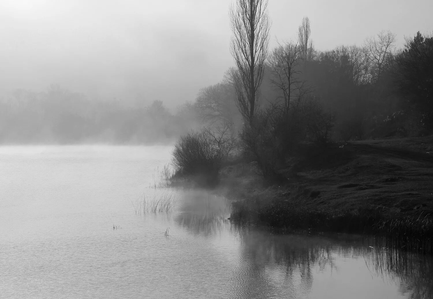 дым над рекой. туманное утро фет. слова песни память. дым в природе. туман стелется.
