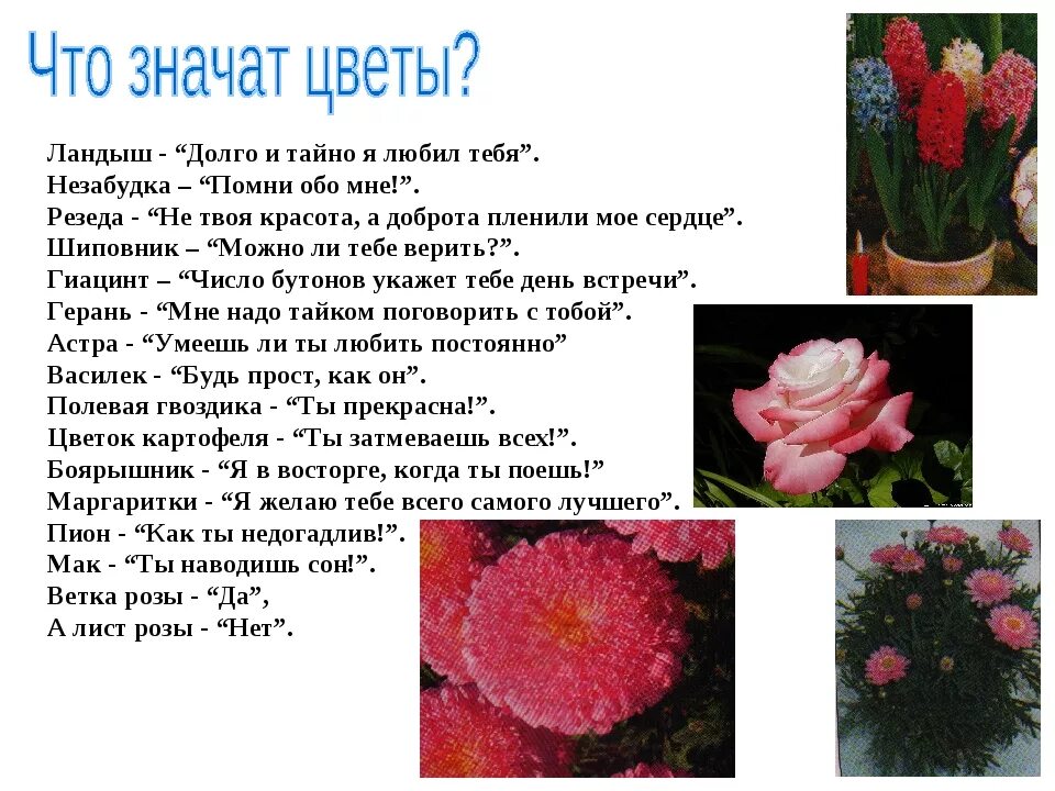 5 цветов что означает. Цветы на языке цветов. Значение цветка. Язык цветов значение. Что символизируют разные цветы.