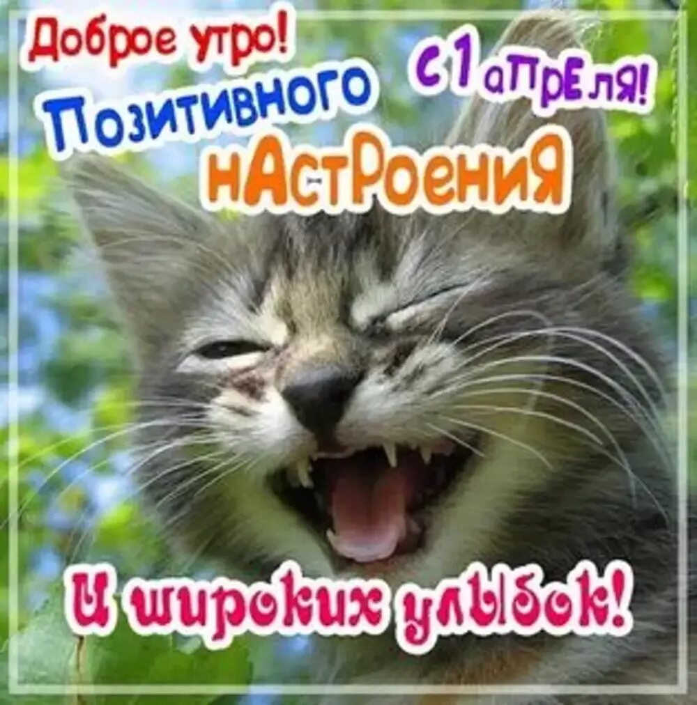 Доброе утро апрель позитивные прикольные картинки Позитива вам! Доброе Утро! Улыбок, смеха и успеха! YouTube Доброе утро, С днем