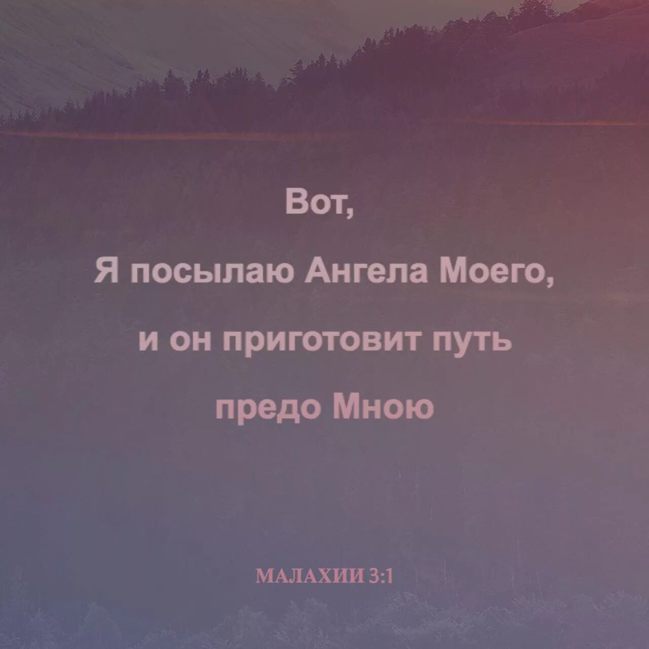 Ему судьба готовила путь. Вот я посылаю ангела моего и он приготовит путь предо мною. «Внезапно придет в храм свой Господь». Малахия 1. И вот я посылаю ангела моего.