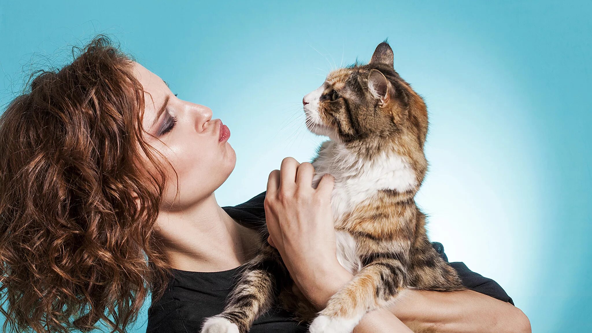 фотосессия с кошкой. девушка играет с котенком чб. анна кендрик с котами. рут сандерсон картины. девушка с котом.