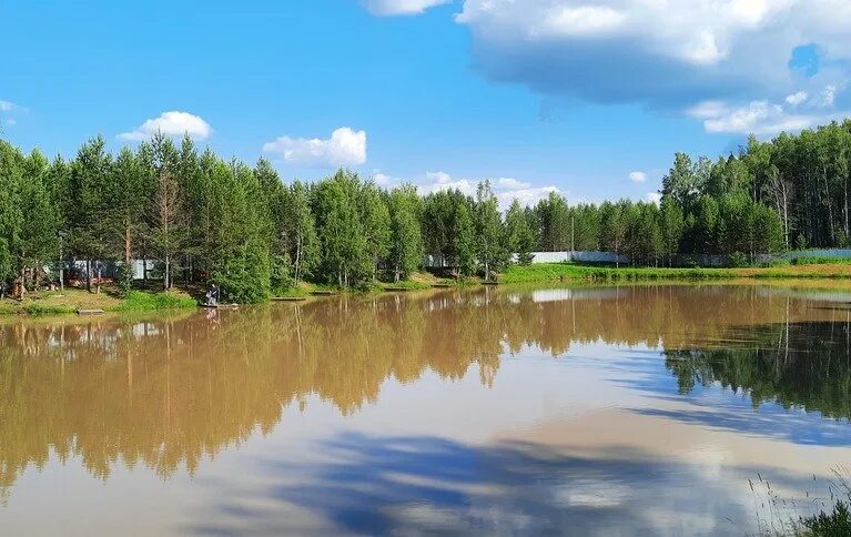 Озеро Исток Екатеринбург. Озеро малый Исток Екатеринбург. Озерки пруд. Озеро Песчаное Екатеринбург. Клевые озерки