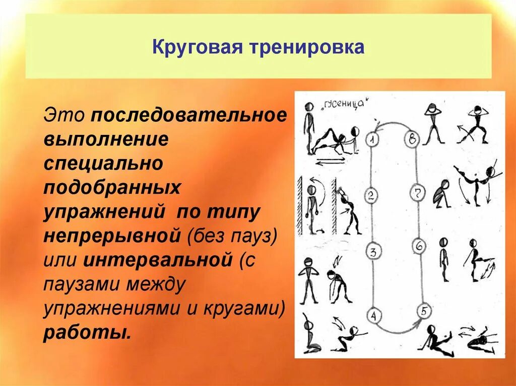 Круговая тренировка это определение. Методика круговой тренировки. Комплекс упражнений по методу круговой тренировки. Схема символ круговой тренировки.