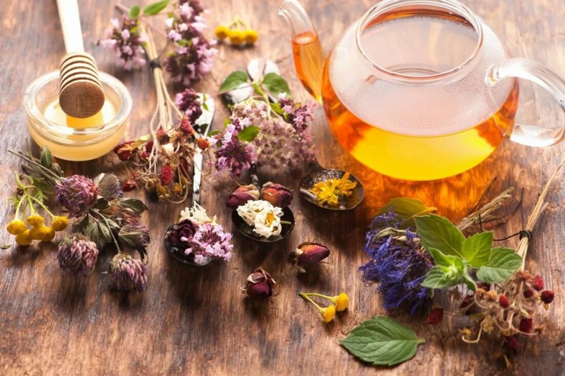 Растения для заварки. Травяной чай. Чай из трав. Настой из лекарственных трав. Настои из лекарственных растений.