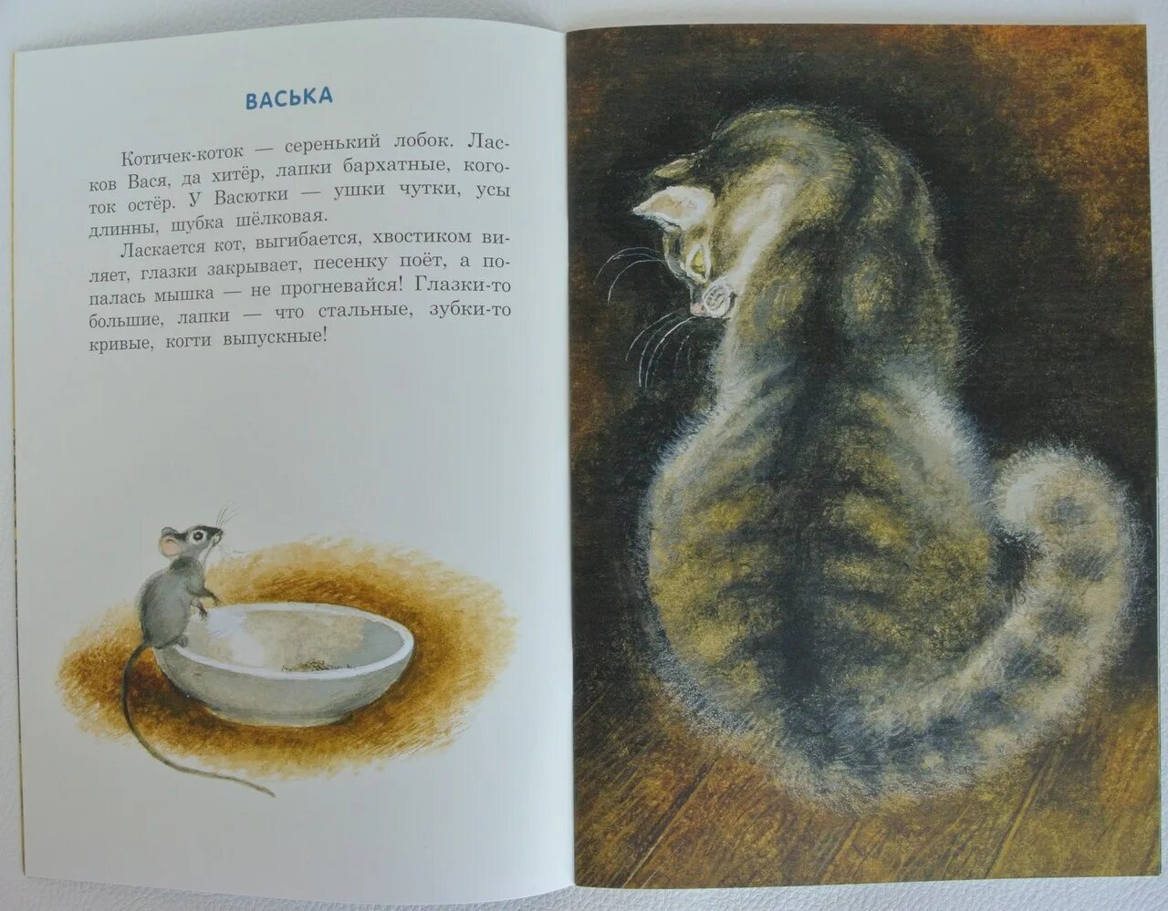 Сказка ушинского кот. Бишка ушинский иллюстрации. константин ушинский &quot;бишка&quot;. плутишка кот ушинский. к.ушинский «бишка» «плутишка кот» +.