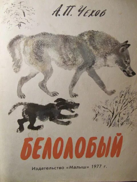 Павлович чехов белолобый. Рассказ белолобый. Иллюстрации к рассказу Чехова белолобый. Рисунок к рассказу белолобый.