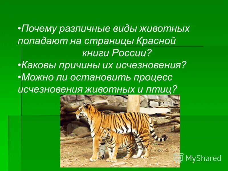 Исчезающие виды животных. Доклад про морскую корову. Подготовь сообщение о тех видах животных. Сообщение о видах животных и птиц которым грозит исчезновение. Красная книга про животных снежный барс рассказ.