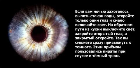Видимый в темноте как пишется