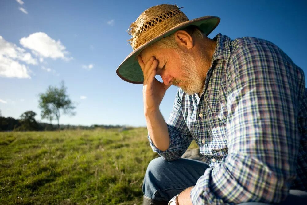 Time is farmer