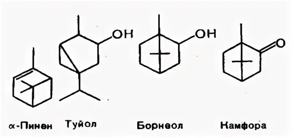 Пинен это. Туйол структурная формула. Терпены пинен. Схема образования терпеноидов. Альфа пинен.