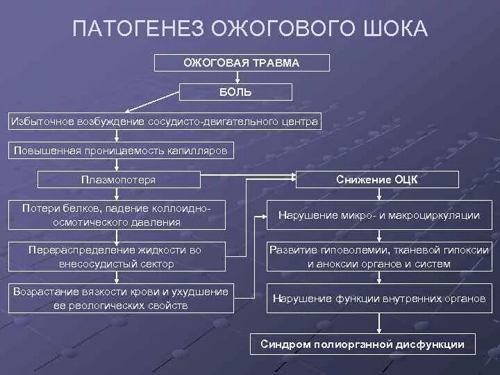 Патогенез ожоговой болезни патофизиология. Схема патогенеза ожоговой болезни патофизиология. Схема развития ожогового шока. Патогенез ожогового шока. Общая этиология общий патогенез