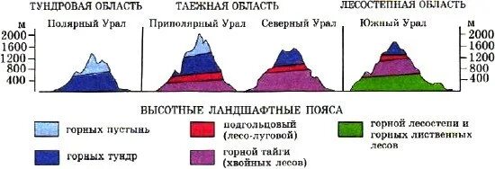 Природная зона равнины урала. Природные зоны на Урале ВЫСОТНОЙ поясности. Высокая пояность уральских гор. Уральские горы Высотная поясность. Схема ВЫСОТНОЙ поясности уральских гор.