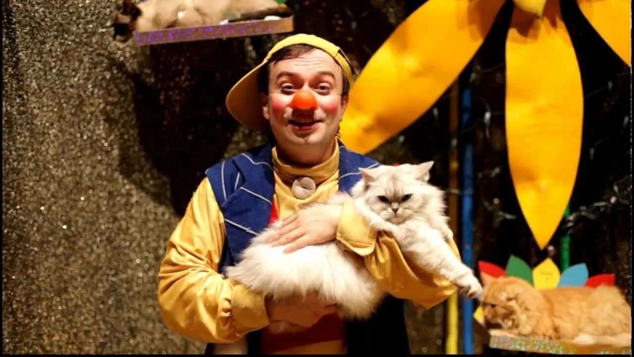 Театр кошек Куклачева. Куклачев и его кошки.