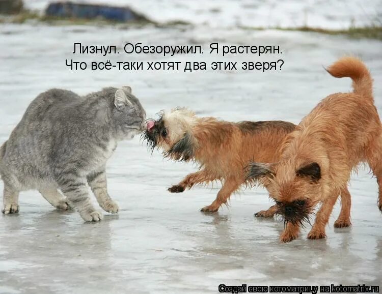 форум хочу двух