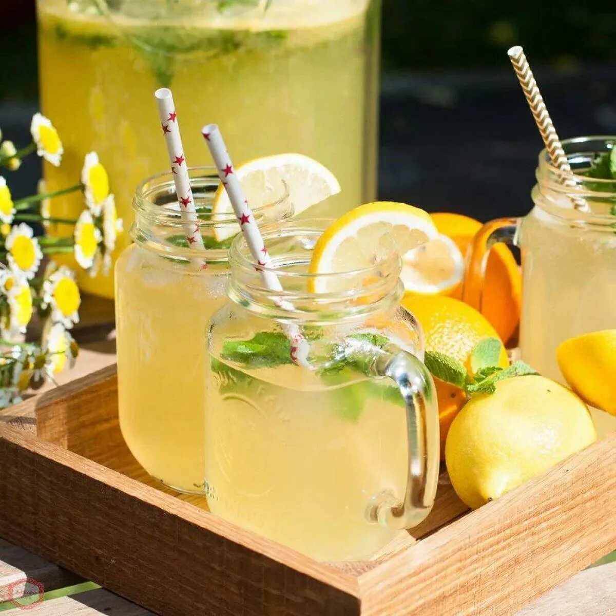 Лимонный лимонад. Напиток с лимоном. Лимонная вода. Лимонный мохито. Limonata.