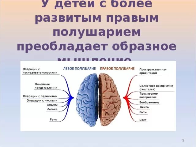 Полушария мозга. Левое и правое полушарие мозга. Упражнения для развития левого и правого полушария. Развитие правого и левого полушария у детей.