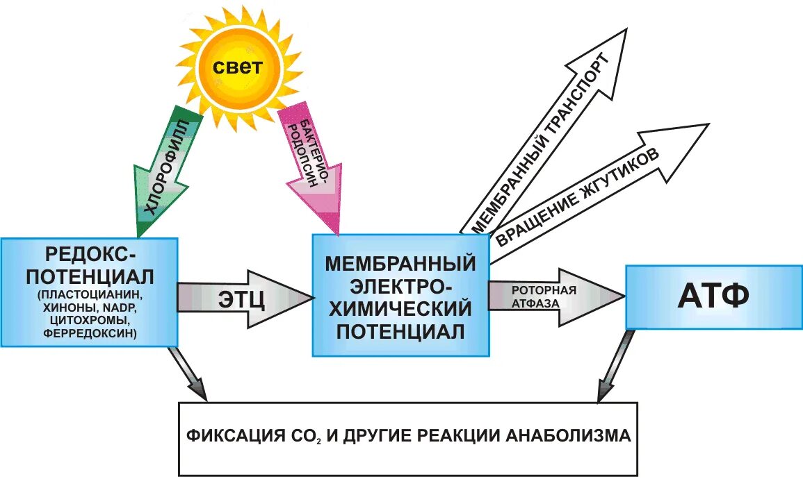 Энергия преобразующий свет