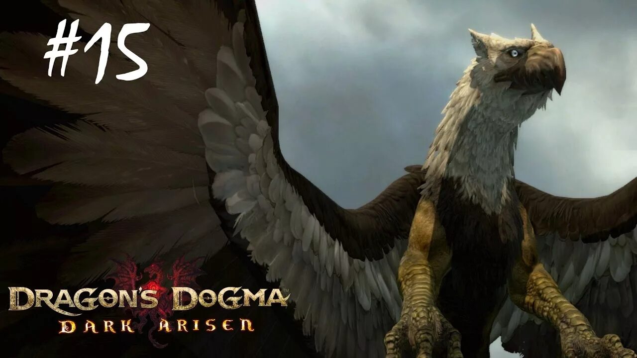 Dragons dogma донат. Грифон драгон Догма. Dragon's Dogma: Dark Arisen. Драгонс Догма 2 Гарпия. Драгон Догма сет грифона.