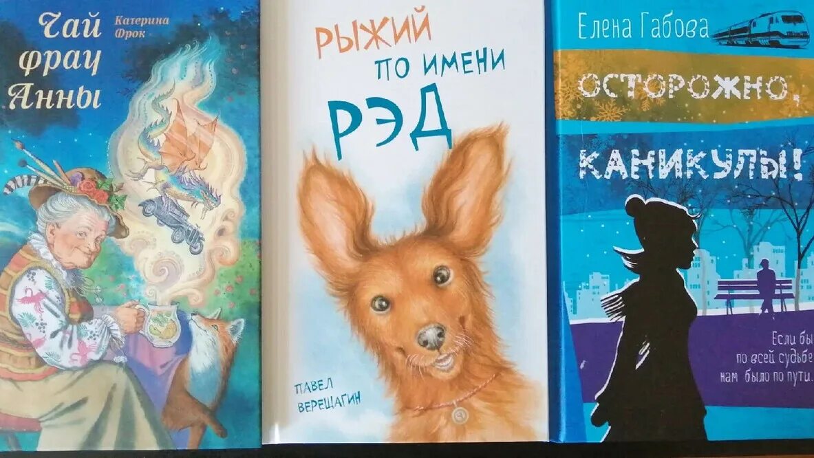 Книга каникулы бога рандома. Габова осторожно каникулы. Катерина фрок книги. Габова е осторожно каникулы.