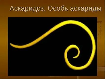 Санпин аскаридоз