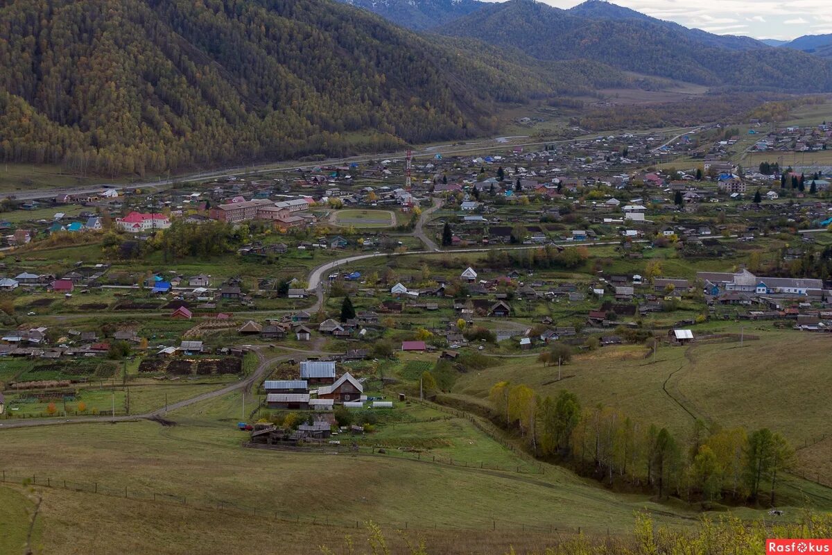 Село ело алтайского края. Черга горный Алтай. Черга Шебалинский район Республика Алтай. Село черга Алтайский край. Село черга Шебалинского района.