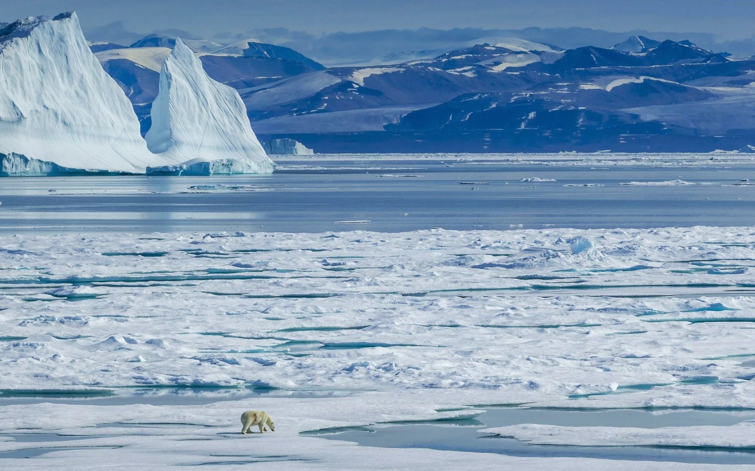 North pole 1. Северный Ледовитый океан полюс. Северный полюс, Арктика и Южный полюс, Антарктида. Северный полюс Арктика. Северно-Ледовитый океан Шпицберген.