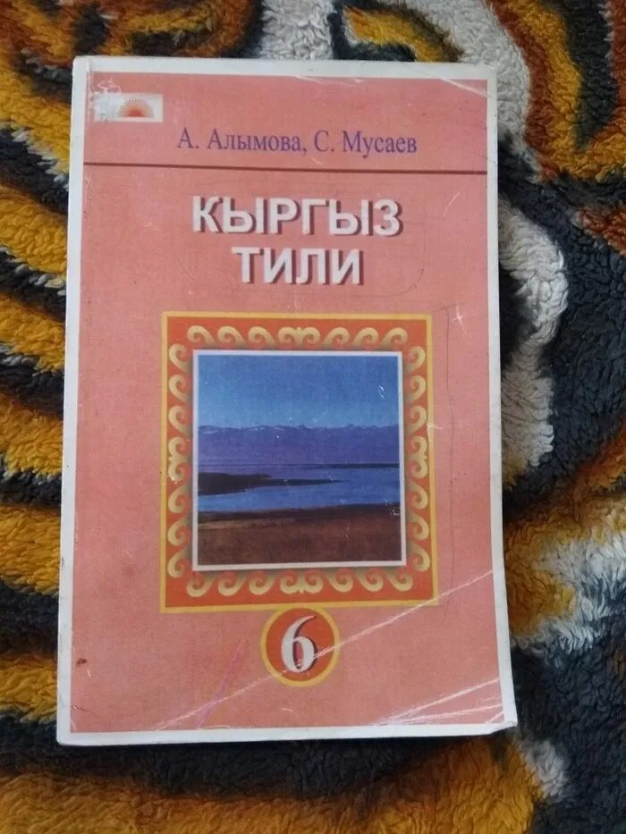 Класс на кыргызском. Частные школы в ташкенте. Система образования в киргизии. Русский язык 1 класс кыргыз класс. Кыргызский язык 8 класс.