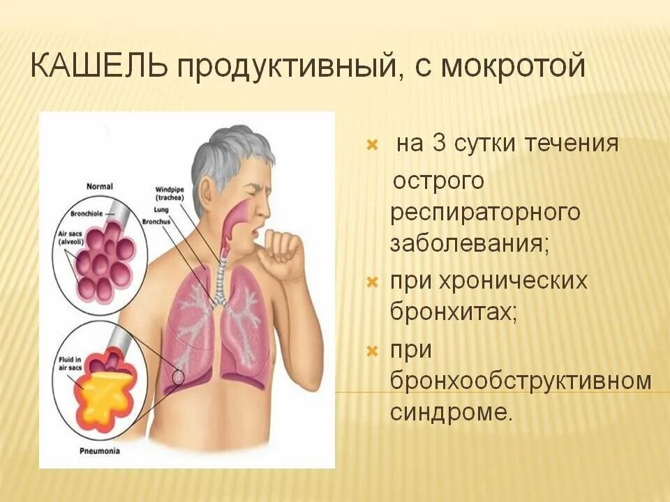 Мокрота после кашля у взрослого