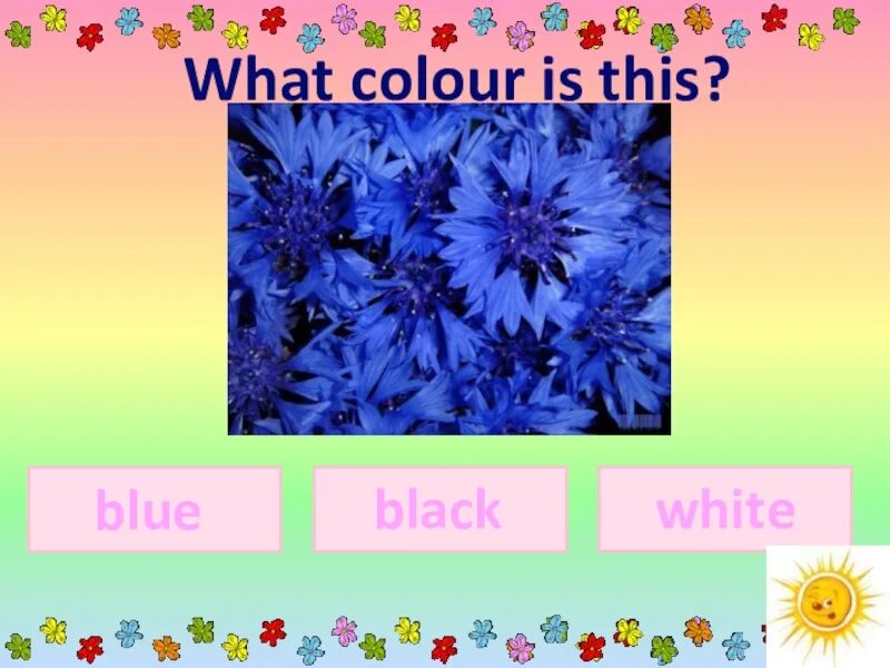 What Colour. What Colour is. What colour is this