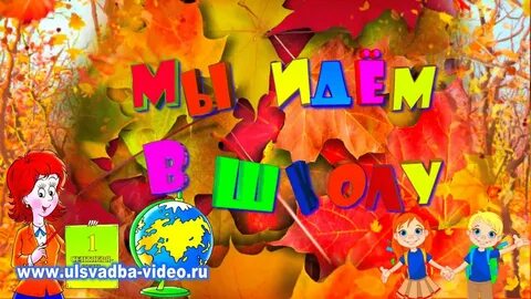 Видео футажи школа