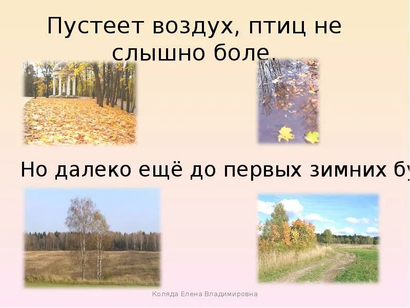 Птиц не было слышно потому что. Пустеет воздух птиц не слышно. Пустеет воздух птиц не слышно боле но далеко. Пустеет воздух птиц не слышно боле но далеко еще до первых зимних бурь. Птиц не слышно боле.